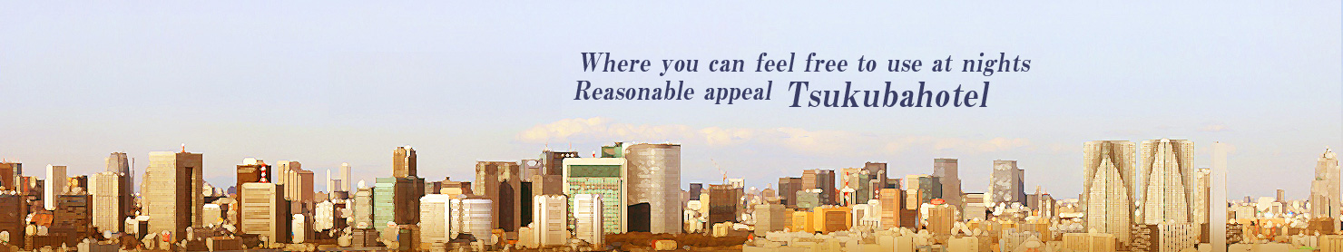 In less than 30minutes go to the main area ok Tokyo